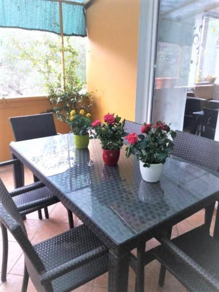 Apartman Lucica Zadar Exterior foto
